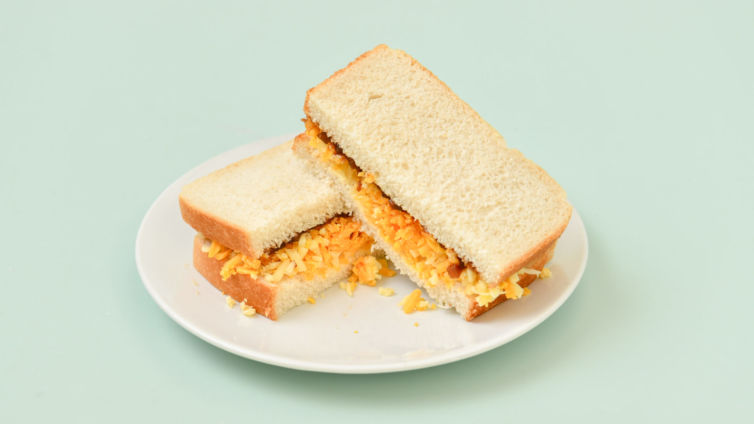 Cheddar cheese and pickle sandwich