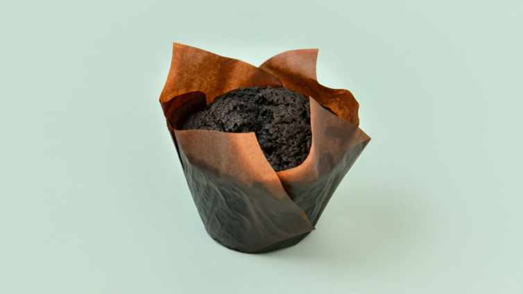 Chocolate with chocolate chip muffin